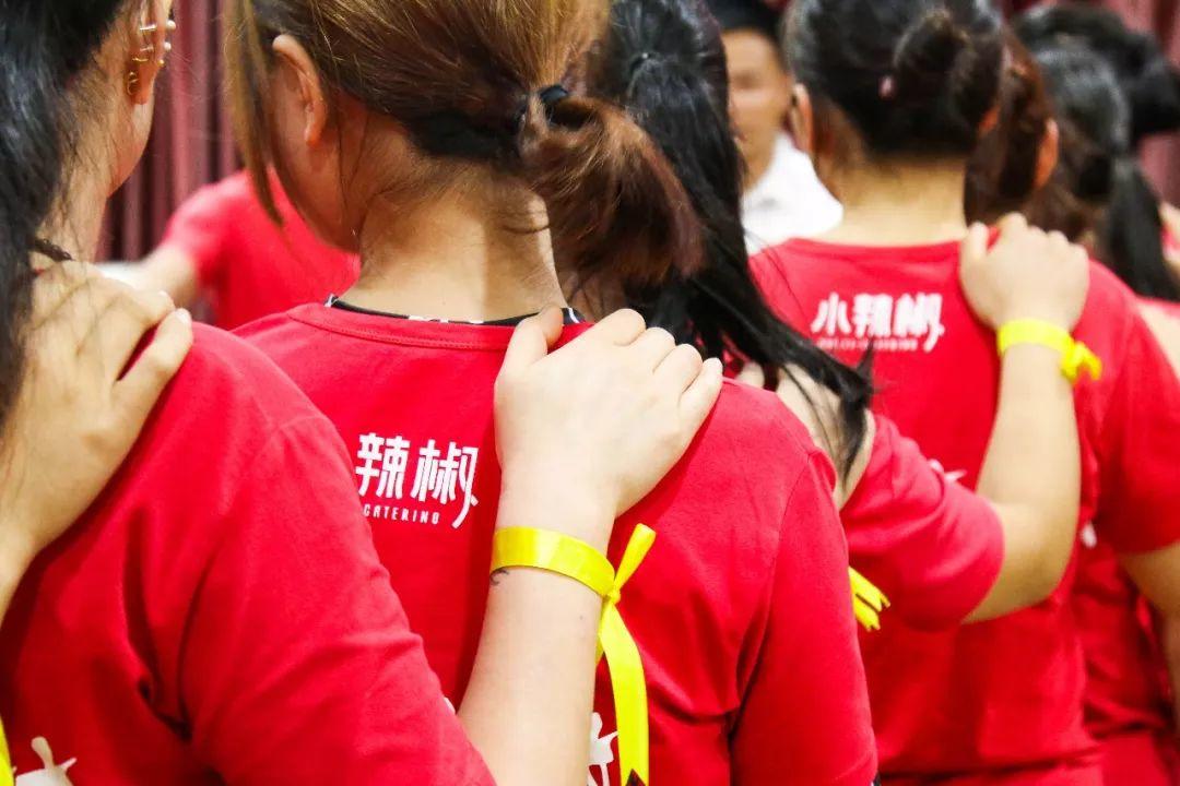 小辣椒 / 导入王牌军师特训 小辣椒 / 导入王牌军师特训